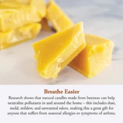 Candle By The Hour 48-Hour Candle Refill, Eco-friendly Natural Beeswax With Cotton Wick -Home Decor Store GUEST 1be736d2 98df 44a4 a9c7 7790105f7a35