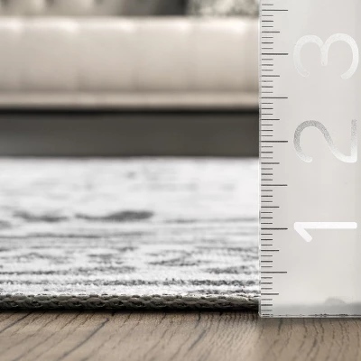 NuLOOM Bess Persian Vintage Machine Washable Area Rug 4 NuLOOM Bess Persian Vintage Machine Washable Area Rug - Image 2