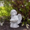 Northlight 9" Kneeling Angel With Flower Bird Feeder Outdoor Garden Statue -Home Decor Store GUEST ad188a98 8409 4020 a77c 7fd07d10cdf0