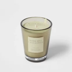 Colored Vase Glass With Dustcover Watermint And Eucalyptus Candle Green - Threshold™ -Home Decor Store GUEST ae8e6bdf 6741 4047 bc7b 87c9f71c548e