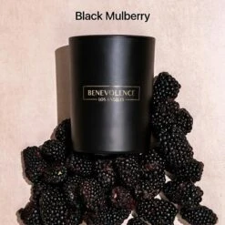 Benevolence LA Black Wax Scented Candle -Home Decor Store GUEST b029f9ca a7fb 4f78 848d 2ecbce3ad358