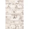 Asher Transitional Distressed Area Rug